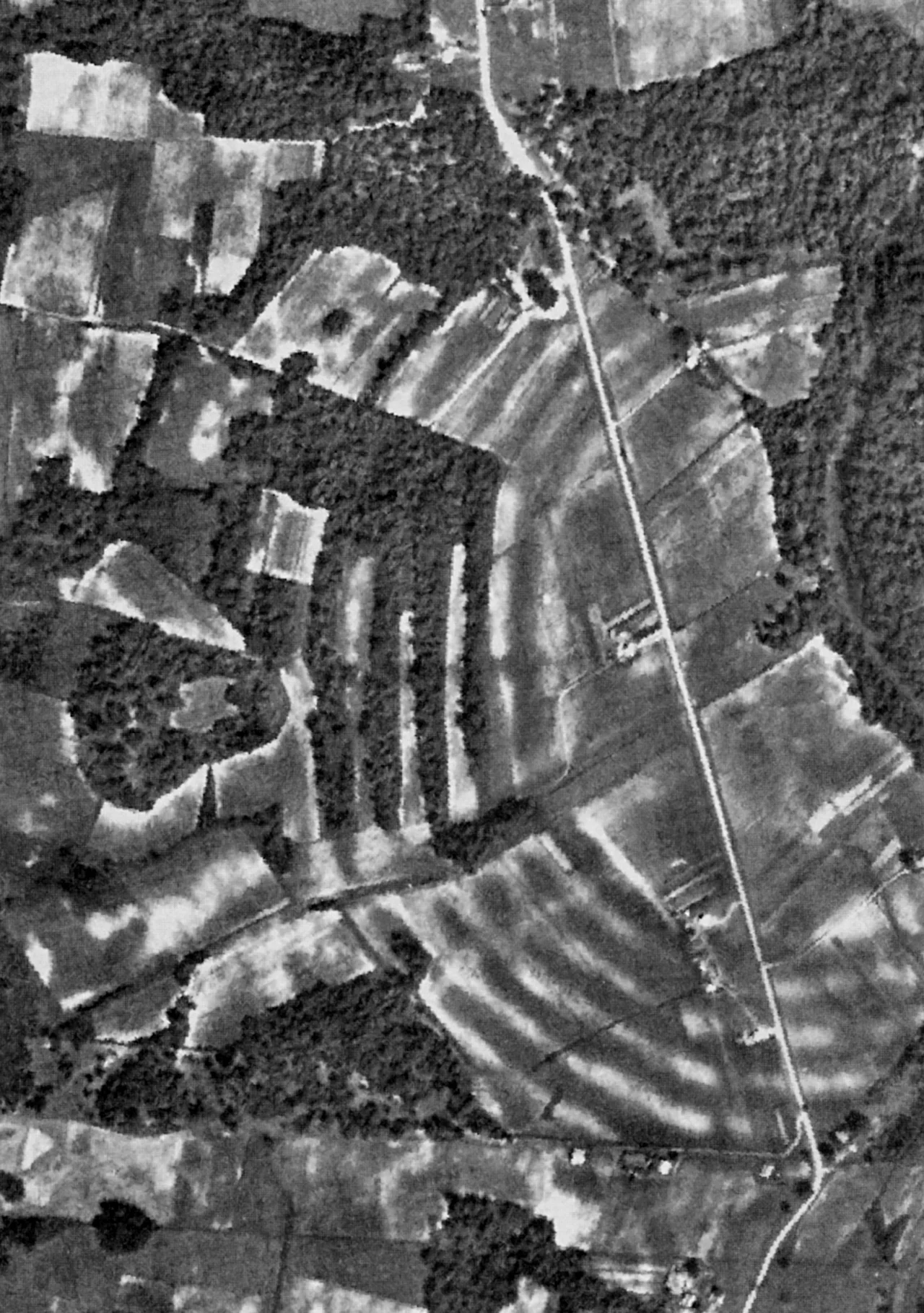 Aerial photograph of the Poverty Point site, Louisiana. Edited version.
Original