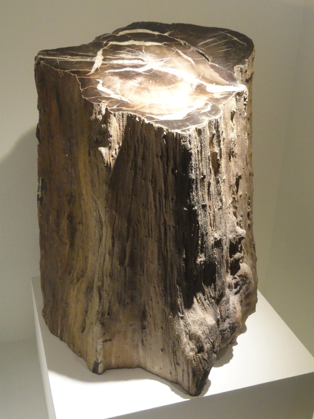 Exhibit in the Houston Museum of Natural Science, Houston, Texas, USA. Photography was permitted in the museum without restriction.