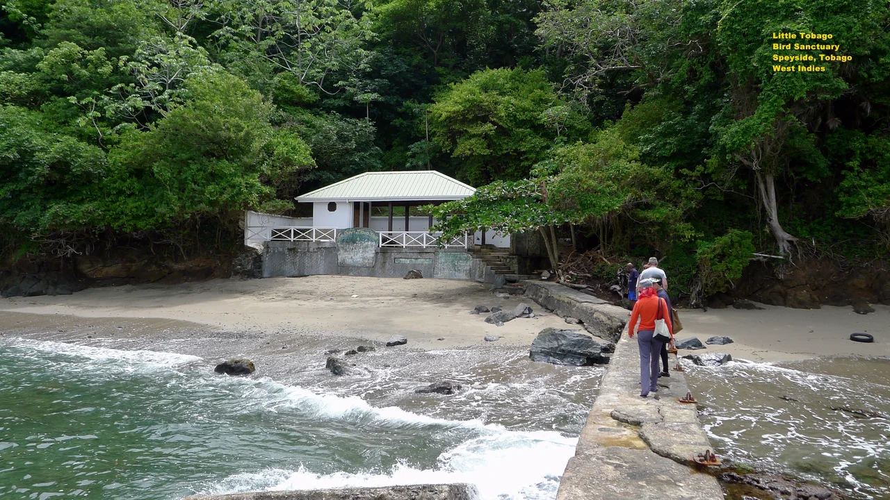 Little Tobago island - Located off the north east village of Speyside, Tobago, West Indies. It is a bird sanctuary.