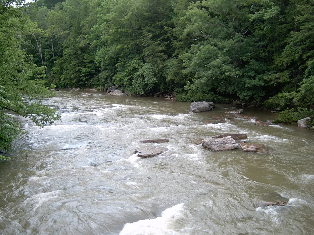 en:Middle Fork River in en:Audra State Park, en:Barbour County, West Virginia.  Photo taken on July 14, 2004 by Brian M. Powell.