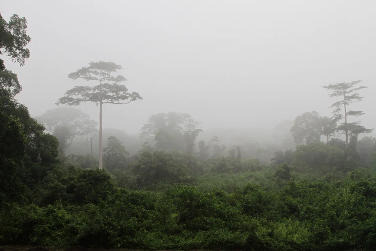 Ivory Coast