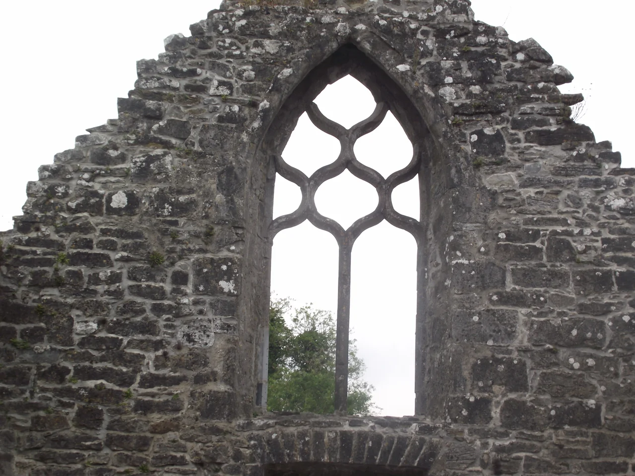 Creevelea Abbey Friary
Photographer ; Aaron Mc Guinness