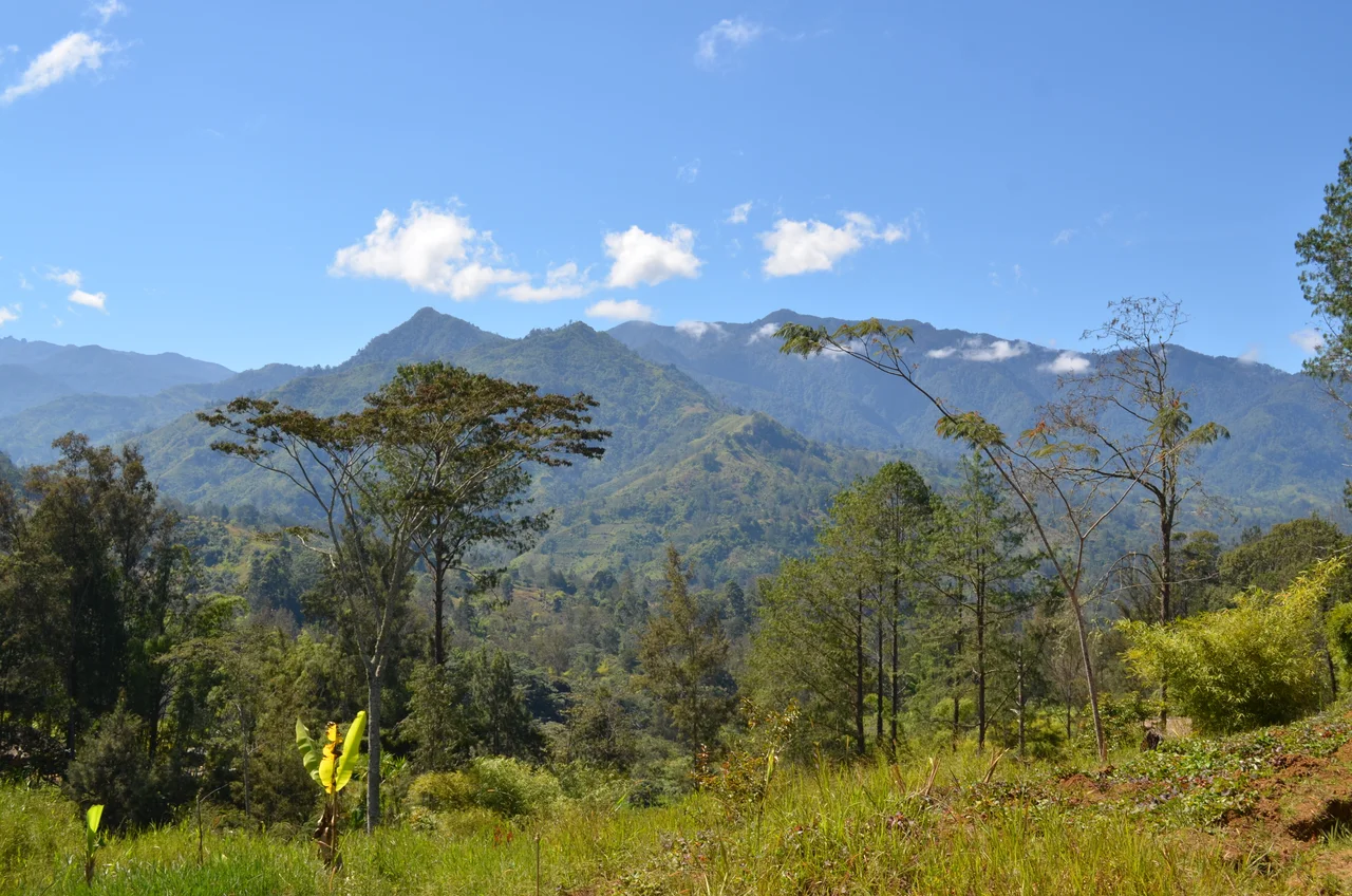 In the highlands of Papua new Guinea. Read about PNG on eGuide Travel