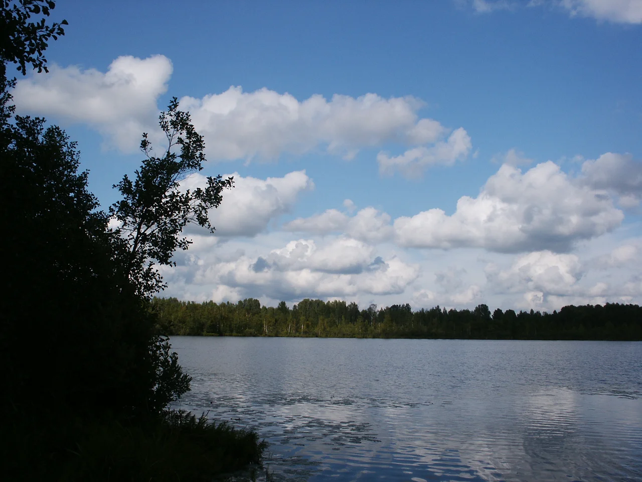 Фотография озера Светлояр. 2006 год, лето.