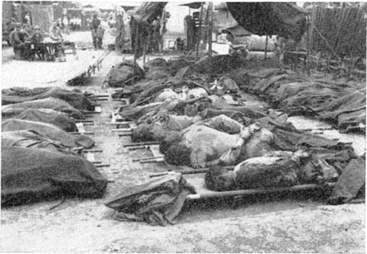 Victims of Hill 303 massacre showing bound hands in burial area near Waegwan, Korea.